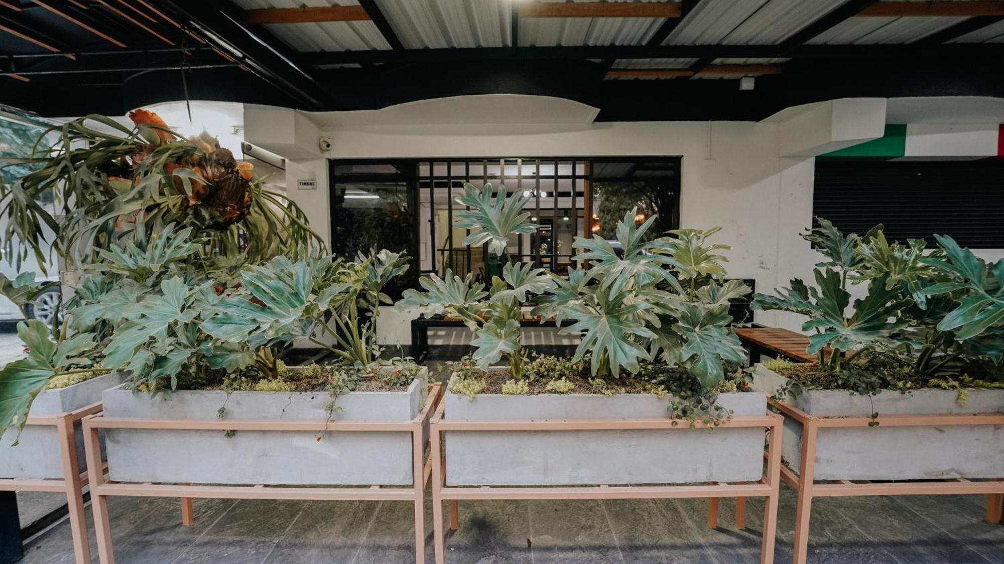 Hotel Balcones Del Estadio Medellín Dış mekan fotoğraf
